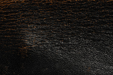 Background is with worn vintage brown leather.の写真素材