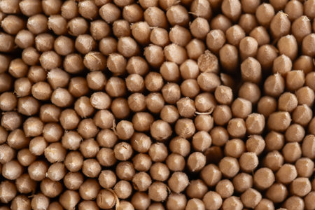 Macro photo of small brown objects as background.