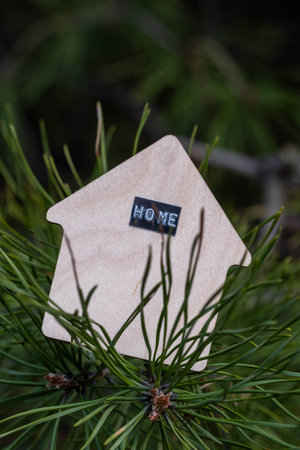 Wooden house on  pine branch in  forest with inscription home.の写真素材