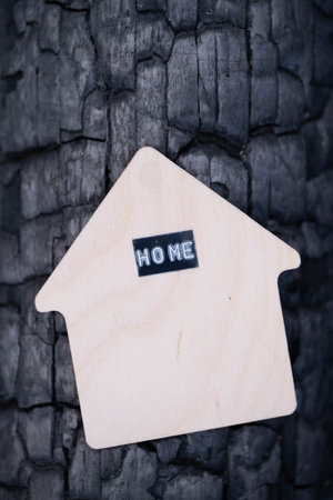 Wooden house on  bark   burnt tree with inscription home.