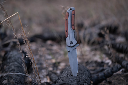 Hunting knife with large blade is stuck in  burnt tree trunk.