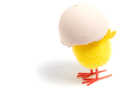 Chicken with  shell on its head on white background. Easter concept.