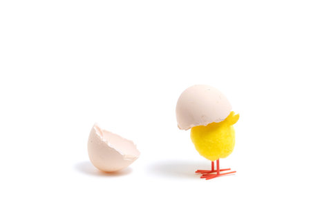 Easter egg and chick isolated on white background. Happy Easter concept.
