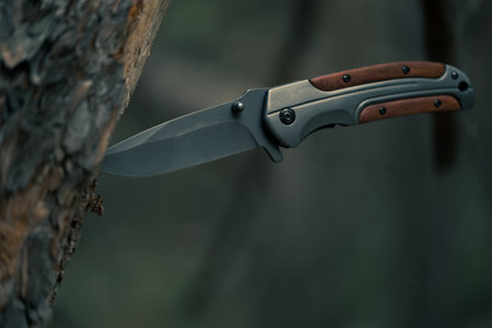 Knife stuck in tree trunk in  forest.