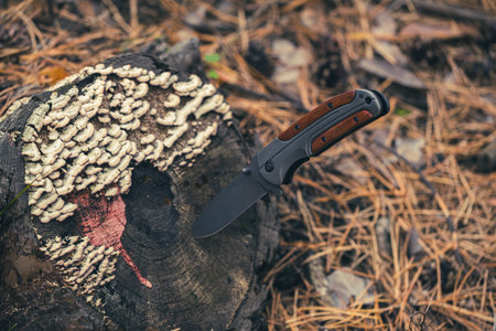 Hunting knife on a stump in the forest. The concept of hunting.