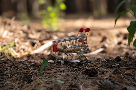 Miniature shopping cart with peanuts in forest.