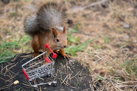 Squirrel with  toy shopping cart on  stump in park.