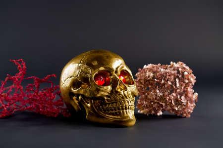 halloween still life with golden skull with scarlet eyes with pink hydrangea on a dark background...
