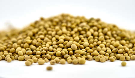 Soybeans on a light floorの写真素材
