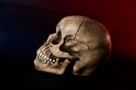 human skull on dark background for halloween close up red and blueの写真素材