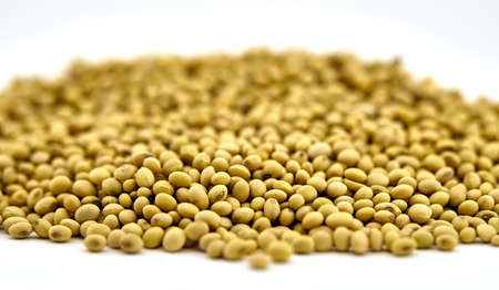 Soybeans on a light floorの写真素材