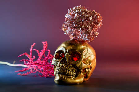 golden skull with scarlet eyes with pink hydrangea on its head and red flower on blue and red close upの写真素材