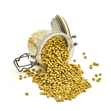 Soybeans close-up on a white background in containersの写真素材