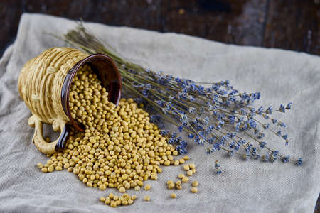 soybeans spill out onto burlap. With lavenderの写真素材