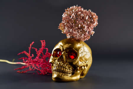 halloween still life with golden skull with scarlet eyes with pink hydrangea on a dark background and red plantの写真素材