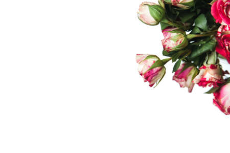 the background area of colour to create greeting cardsの写真素材