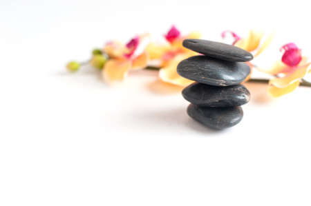 four dark gray stone against the bright Orchid colors on a light backgroundの写真素材