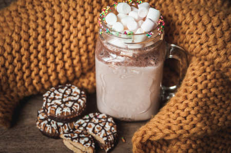 Glass Cup with cocoa and marshmallows, chocolate chip cookies and yellow scarfの写真素材