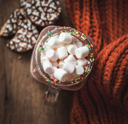 Cup with cocoa and marshmallows, chocolate chip cookies and orange scarfの写真素材