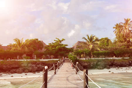 wooden bridge over the beach that leads to the palm treesの写真素材