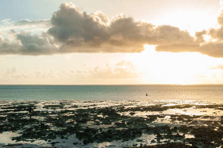 Locals harvest the seaweed at low tide. Golden dawn on Zanzibar island, Tanzania.の写真素材