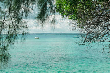 View of the blue ocean through the trees. Tropical landscape in the Indian ocean.の写真素材