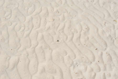 The texture of the waves on the bright, smooth sand.の写真素材