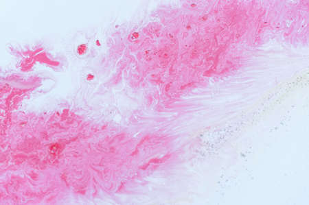 Abstract colorful background. Drawing with acrylic paints on water. Texture play of paint.の写真素材