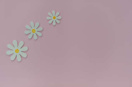 Beautiful pink background with daisies. Texture for creative ideas. The concept of lightness and minimalism in design.の写真素材