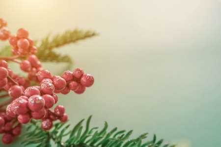Christmas decorations with red berries and fir branches on a beautiful mint backgroundの写真素材