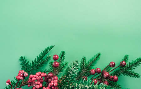 Christmas decorations with red berries and fir branches on a beautiful mint backgroundの写真素材