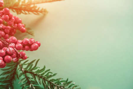 Christmas decorations with red berries and fir branches on a beautiful mint backgroundの写真素材