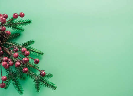 Christmas decorations with red berries and fir branches on a beautiful mint backgroundの写真素材