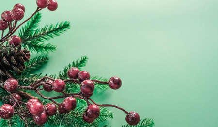 Christmas decorations with red berries and fir branches on a beautiful mint backgroundの写真素材
