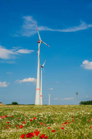 Windmills against the blue sky. Poppy and chamomile fields of Europe. The concept of eco-friendly electricity.の写真素材