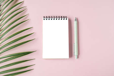 White sheet, pen and a plant on a pink background. The concept of planning and logistics. Top view of stationery. Place for your textの写真素材