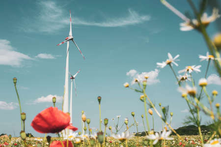 Windmills against the blue sky. Poppy and chamomile fields of Europe. The concept of eco-friendly electricity.の写真素材