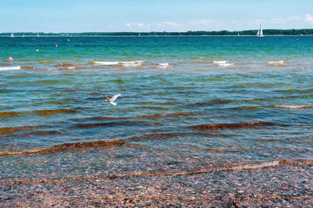 Seagull flying over the sea. Landscape of the Baltic sea coastの写真素材