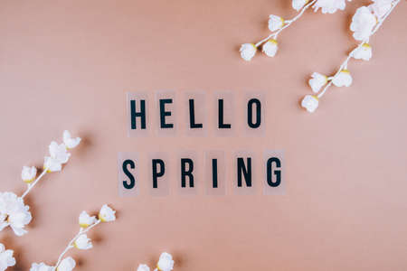 Brown background with delicate colors and the inscription HELLO SPRING Place for text, top view. Flat layの写真素材