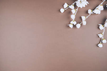 Brown background with delicate colors. A place for text, a view of the super-ear. Flat layの写真素材