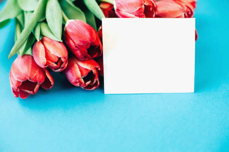 Beautiful pink tulips and a white postcard on a blue background. Space for textの写真素材