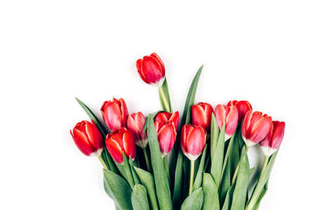 Bouquet of Pink and red tulips on a white isolated background. Space for textの写真素材