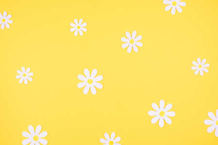 White daisies on a bright yellow background. Bright summer or spring pattern.