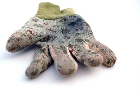 One grubby well-used ladies gardening glove on white background. Dirty and worn showing extensive use in home and garden.の写真素材