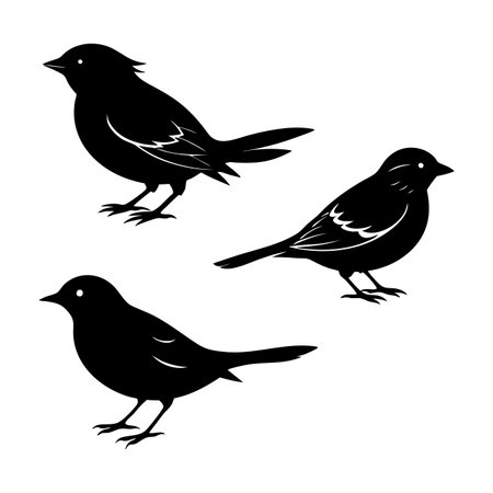 Set of black sparrows isolated on white background. Vector illustration.のイラスト素材