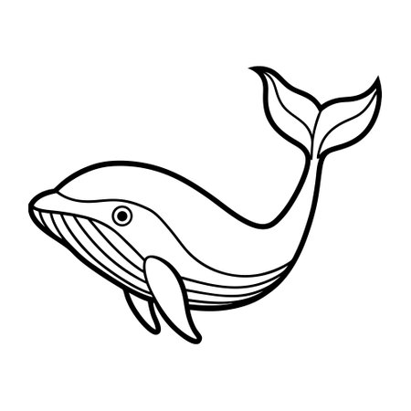 A simple, outlined drawing of a whale, perfect for coloring books or educational materials.のイラスト素材