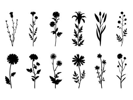 This image showcases a collection of diverse floral and botanical elements presented in a striking silhouette style. The black silhouettes stand out against the clean white background, creating a modern and minimalist aesthetic.のイラスト素材