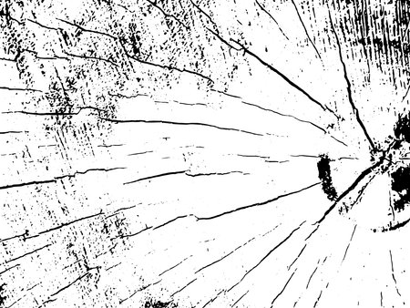 A high-contrast black and white abstract image featuring a distressed texture with prominent radial cracks and scattered speckles, creating a unique silhouette effect.のイラスト素材
