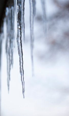 Glistening icicles hang on the ledge on a snowy day. Photo. Macro