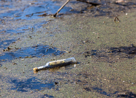 A glass bottle in muddy water in the forest, discarded by man. environmental disaster in nature. The problem of garbage in nature. Horizontally. Photo in high quality.の写真素材